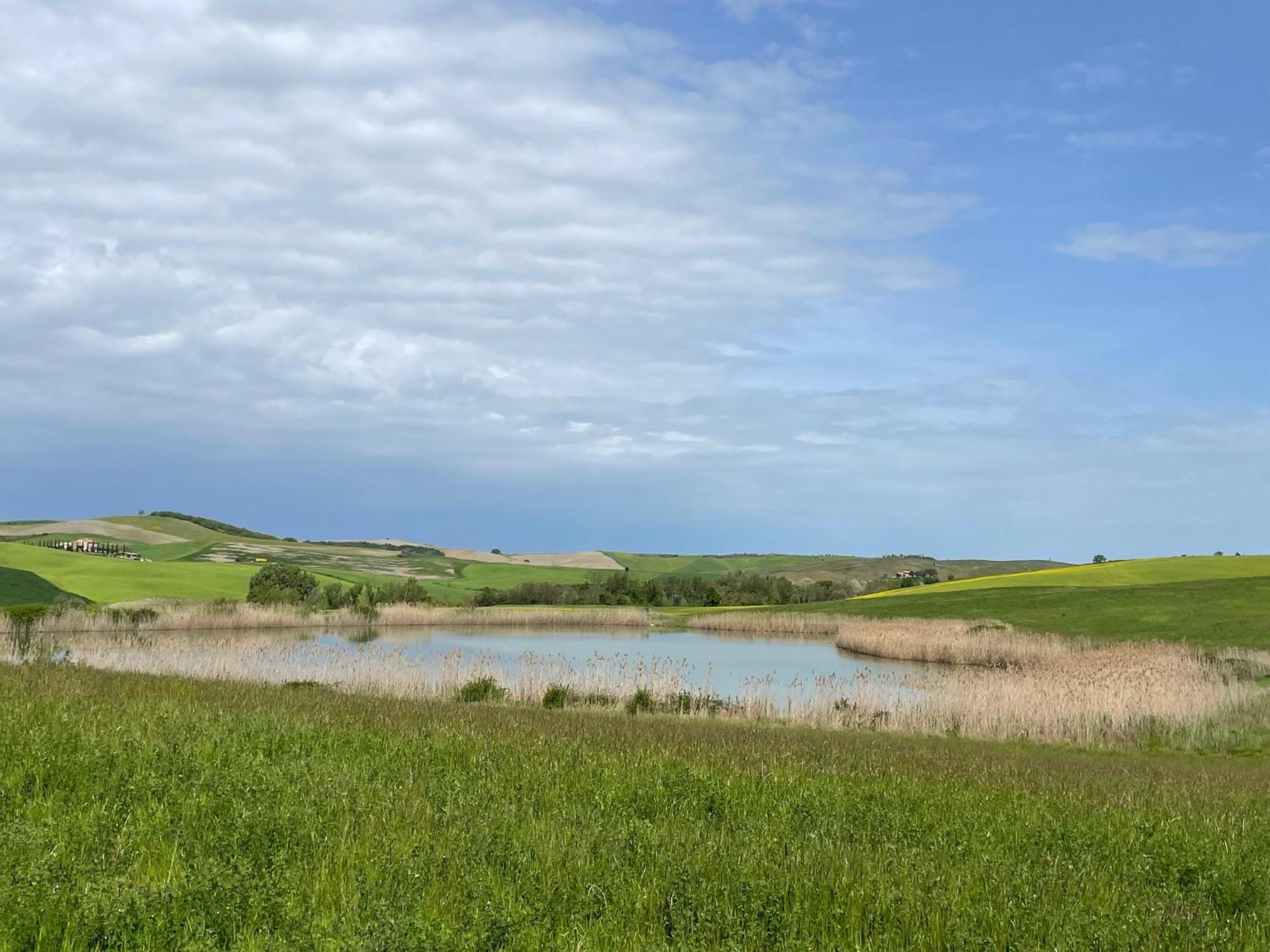 Agriturismo Le Sorbelle D'Orcia Con Piscina П'єнца Екстер'єр фото
